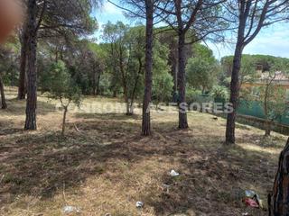 Terreny residencial a La Goba