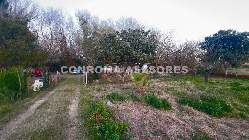 Foto adb5e98d-2eaa-4db9-88ed-dc13dd844004. Landgut in Mas Florit-Ca la Guidó Blanes