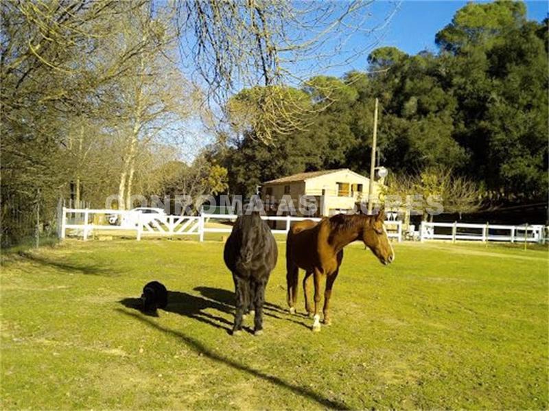 Foto 5eb47d65-d909-4bc3-81b6-d20677c42b65. Masia amb xemeneia calefacció aparcament piscina a Fogars de la Selva