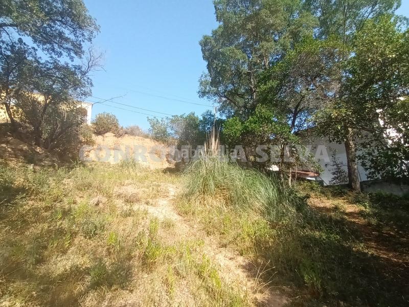 Foto 05d98038-2da9-48dc-9e6e-4d1204ff09fd. Residential plot in Montbarbat Maçanet de la Selva