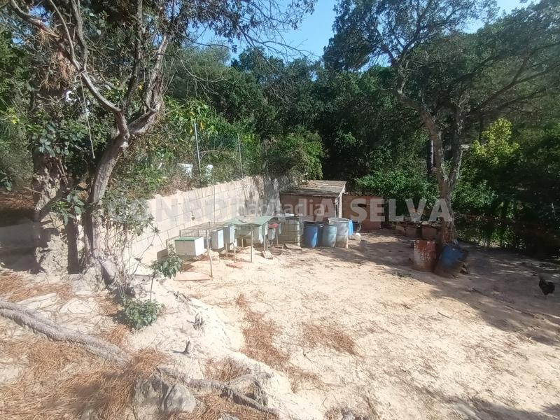 Foto 1c07e31e-71a7-4d14-b03a-55a17296753b. Residential plot in Montbarbat Maçanet de la Selva