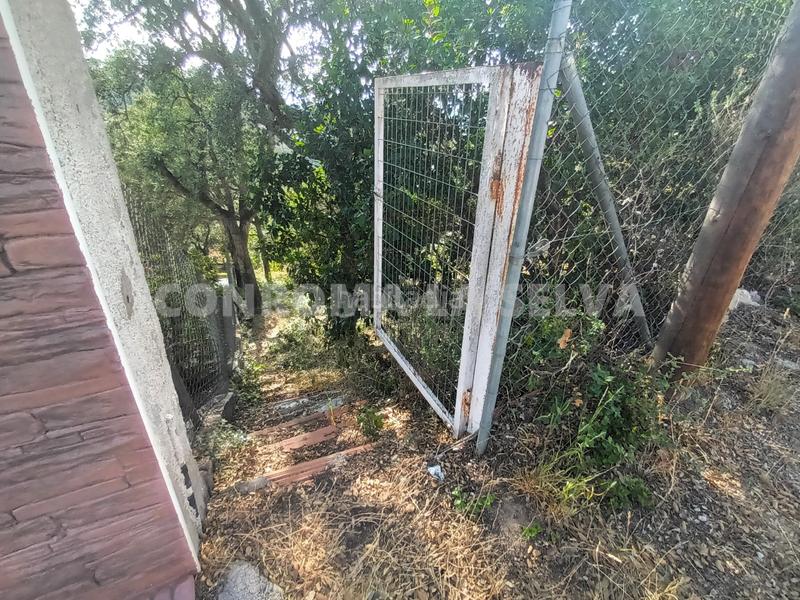 Foto 3022ca8f-681d-4e70-8ed6-115d3a9f5483. Residential plot in Montbarbat Maçanet de la Selva