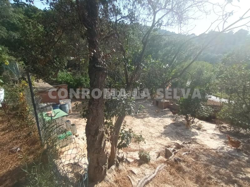 Foto 3b5f2ba4-7893-4f0c-a205-775d82e948f7. Residential plot in Montbarbat Maçanet de la Selva