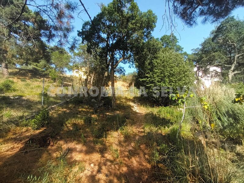 Foto 4d5892c4-b2d3-47a0-86d1-a0048e23e524. Residential plot in Montbarbat Maçanet de la Selva