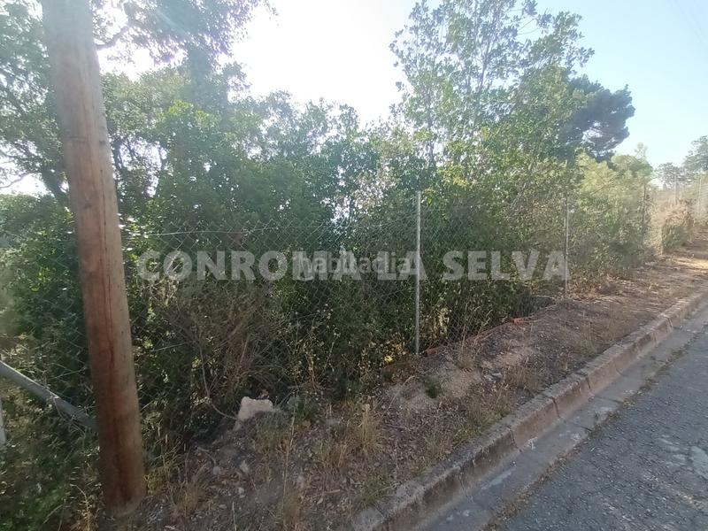 Foto 736b2ccc-7b0e-472b-b1bd-df5d7026ff7c. Residential plot in Montbarbat Maçanet de la Selva