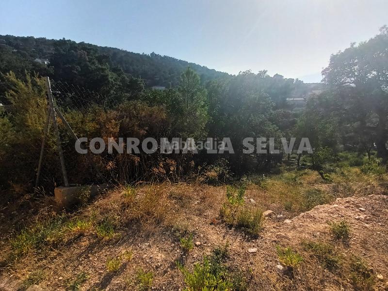 Foto 060f583d-ee39-451f-950f-c9a9ea625b54. Terreno residenziale in Montbarbat Maçanet de la Selva