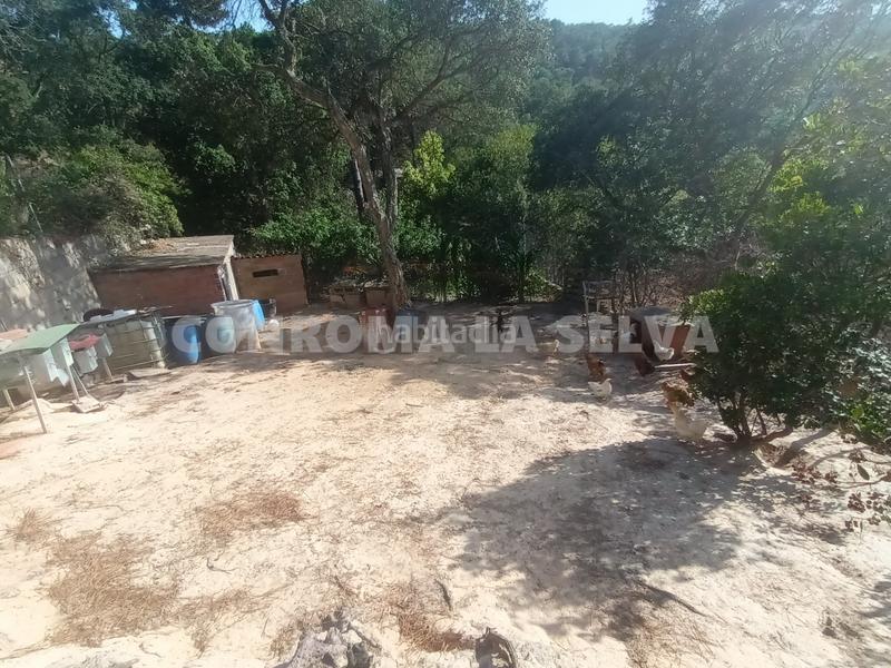 Foto 29c5fcc4-e12f-445b-b7c1-6595efa053a2. Terreno residenziale in Montbarbat Maçanet de la Selva