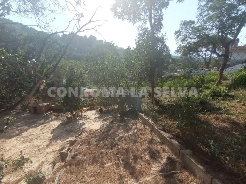 Foto 5813583c-564f-4537-b1b2-2b4c0ee05168. Terreno residenziale in Montbarbat Maçanet de la Selva