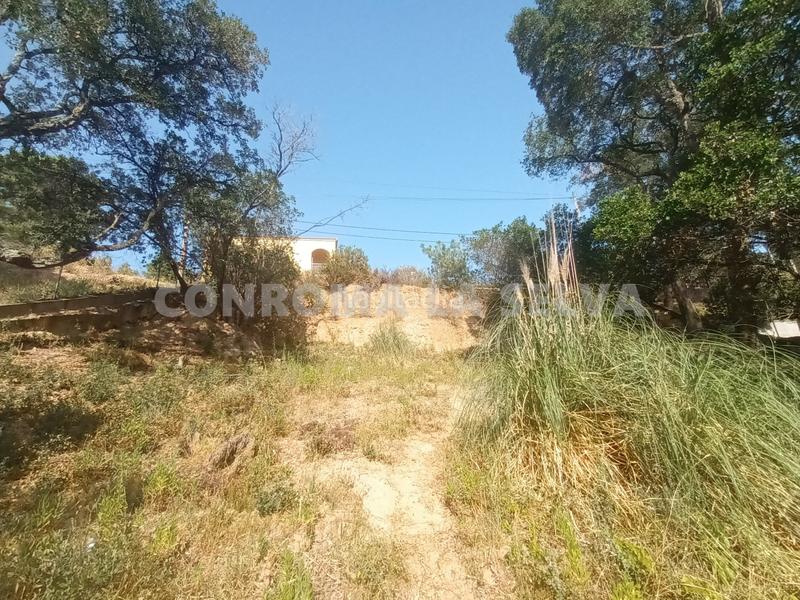 Foto 8e2f8365-6b86-4896-824f-276b6e8a77fc. Terreno residenziale in Montbarbat Maçanet de la Selva