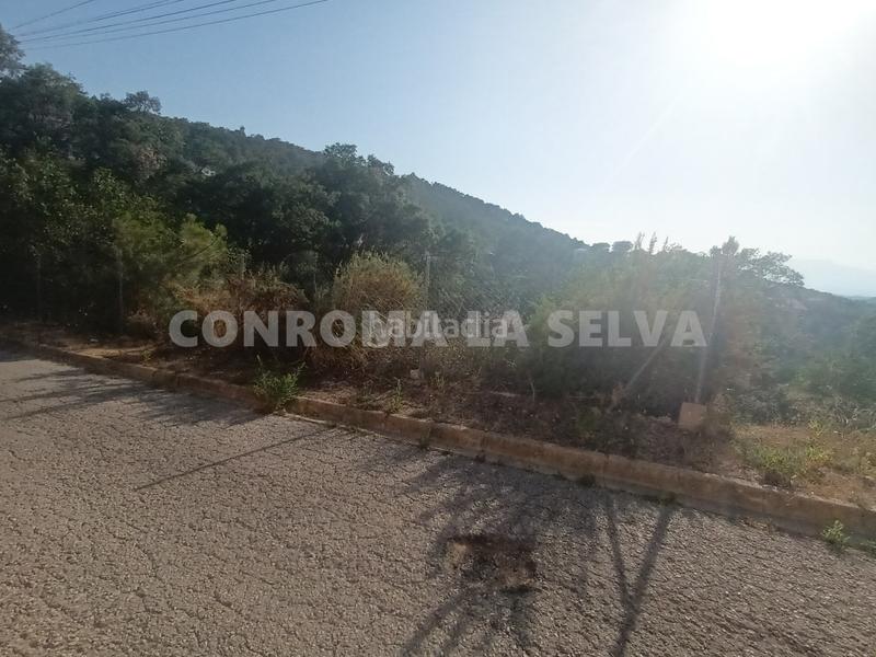 Foto a7a42171-a854-4494-b07c-11e715613a90. Terreno residenziale in Montbarbat Maçanet de la Selva