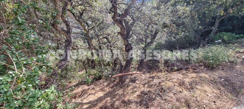 Foto 43969d18-9254-4486-a1de-fc6912f466b8. Terreny residencial a Canyelles Lloret de Mar