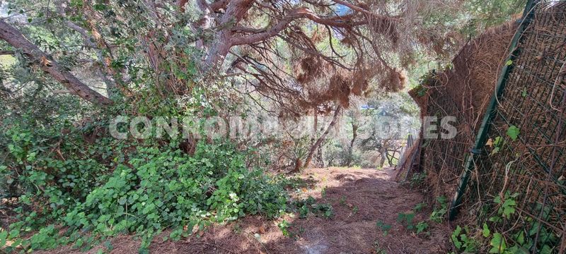 Foto 5bde7b76-a996-4a63-892c-da6ba576bf29. Terreny residencial a Canyelles Lloret de Mar