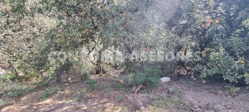 Foto 811283b3-35d3-4c38-92e0-2ae63eac0ed7. Terreny residencial a Canyelles Lloret de Mar