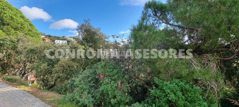 Foto 9f7593bf-de46-4753-9ee5-80a2ed676f12. Terreny residencial a Canyelles Lloret de Mar