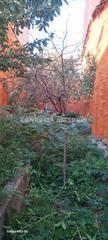Terreny residencial a Centre