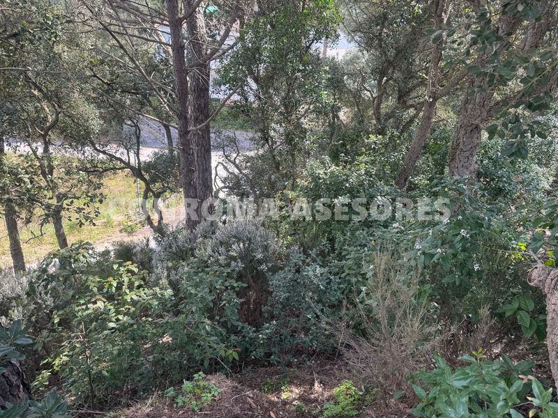 Foto 1746b455-bfc7-49ea-8821-085c37fc4b81. Terreny residencial a Serra Brava Lloret de Mar