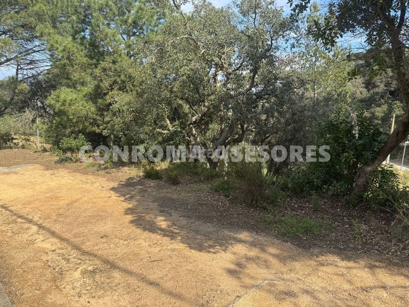 Foto 1d6889f6-769b-4a38-82de-712dcba36064. Terreny residencial a Serra Brava Lloret de Mar