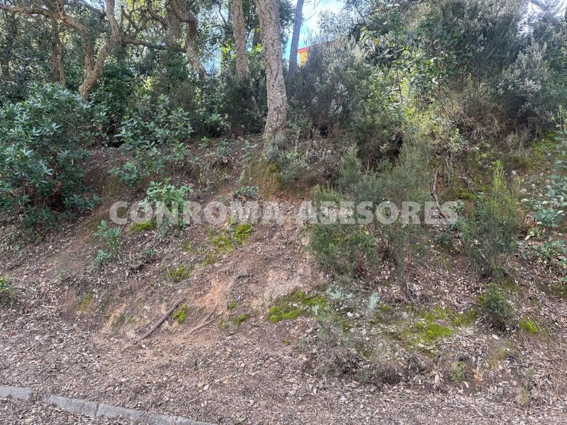 Foto 60831f2c-5d44-46ea-84b5-c6085b9b46ef. Terreny residencial a Serra Brava Lloret de Mar