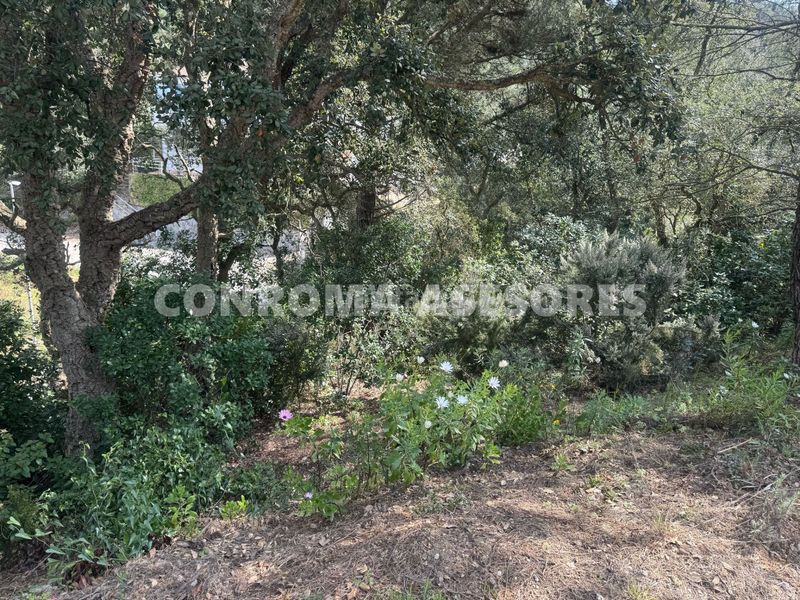 Foto b68e8487-d41c-4aaf-bfde-21435effe988. Terreny residencial a Serra Brava Lloret de Mar