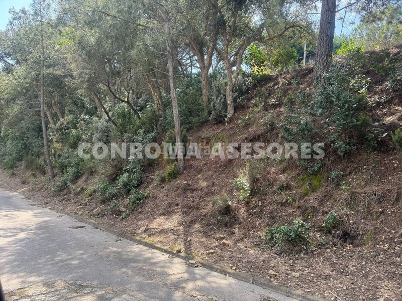 Foto c73a544d-36b6-4775-8366-530e70ba2105. Terreny residencial a Serra Brava Lloret de Mar