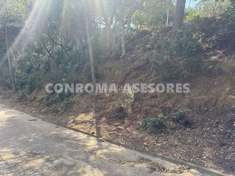 Foto f3b122f3-3975-4bbe-bceb-e21c091664da. Terreny residencial a Serra Brava Lloret de Mar