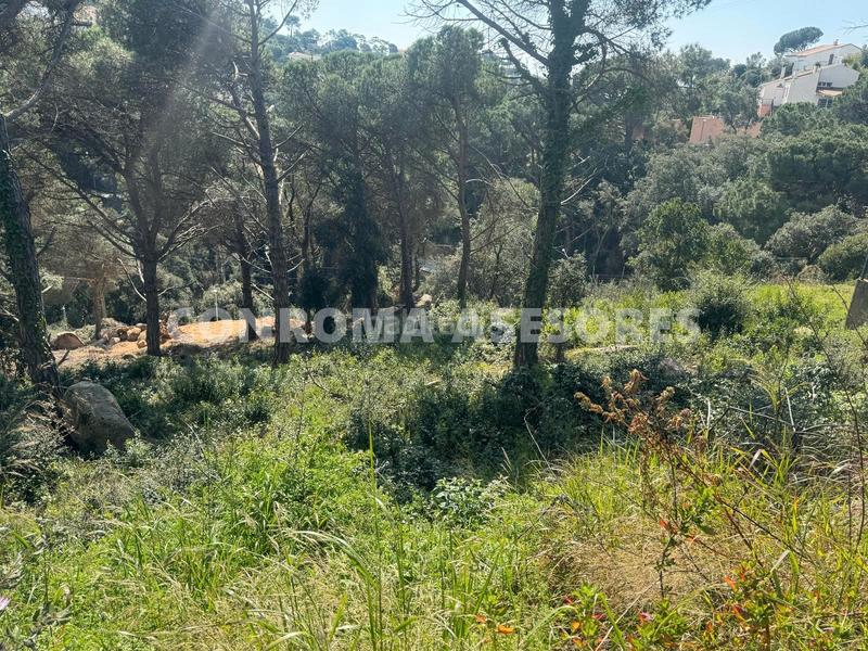 Foto 4e141520-1afd-4e9a-b1c2-06b63ee0b0dd. Terreno residencial en Serra Brava Lloret de Mar