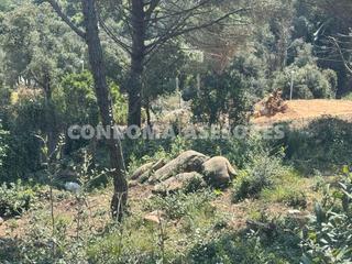 Terreno residencial en Serra Brava