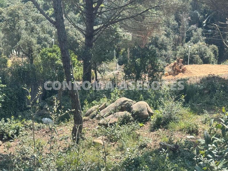 Foto b31ed024-dc5f-4b4f-bed6-ea83253d562f. Terreno residencial en Serra Brava Lloret de Mar