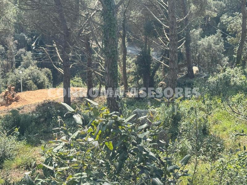 Foto beb43a30-031b-4c39-adcb-e7b23a690c10. Terreno residencial en Serra Brava Lloret de Mar