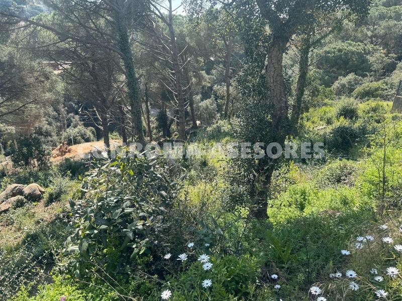 Foto 33255998-6ed4-4df9-98b8-879361a40ecf. Terrain résidentiel dans Serra Brava Lloret de Mar