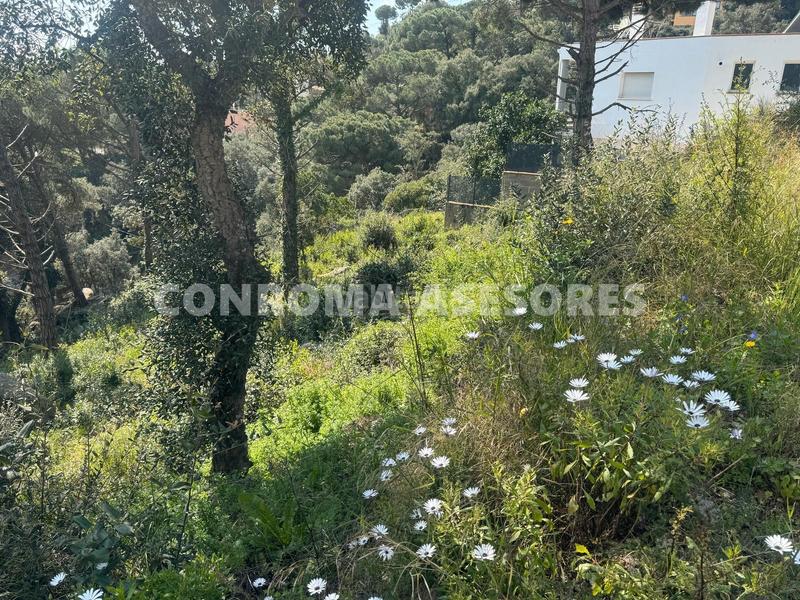 Foto 520f86d1-2f9f-4795-a778-942b43b97a75. Terrain résidentiel dans Serra Brava Lloret de Mar