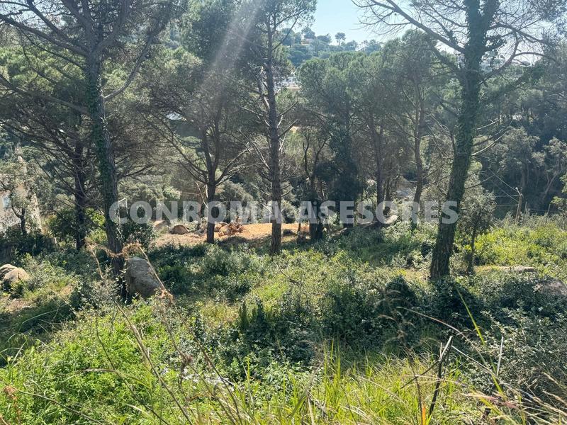 Foto 8f910be3-c76e-485f-9fec-251c7138eb6a. Terrain résidentiel dans Serra Brava Lloret de Mar