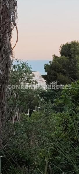 Foto 51afc576-898d-4d74-8497-5be7831a0345. Local commercial dans Mas Baell-Can Carbó Lloret de Mar