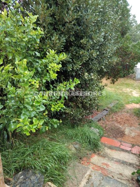 Foto 4c4457cb-507e-4108-a768-cf6b6b37b7d0. Maison avec cheminée dans Niàgara Parc -Àgora Parc Tordera