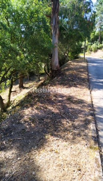 Foto 97a659dc-a19e-4a70-a244-b41d0c94782b. Terreny residencial a Lloret Blau - La Creu de Lloret Lloret de Mar
