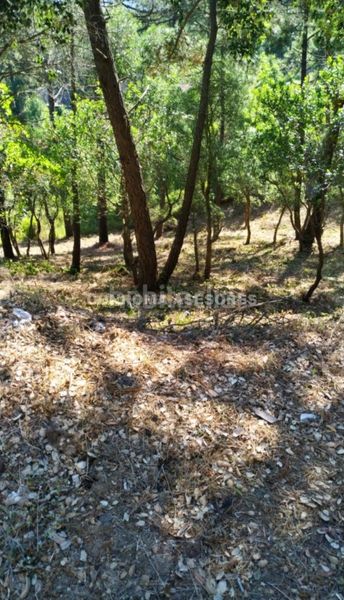 Foto caaa2c32-9643-4433-9ded-62f7bf7ace66. Terreny residencial a Lloret Blau - La Creu de Lloret Lloret de Mar