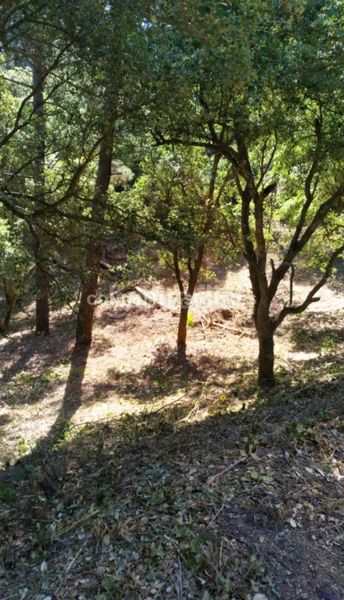Foto f3097a77-9b0b-4d65-b8b4-b80830d0f06d. Terreny residencial a Lloret Blau - La Creu de Lloret Lloret de Mar