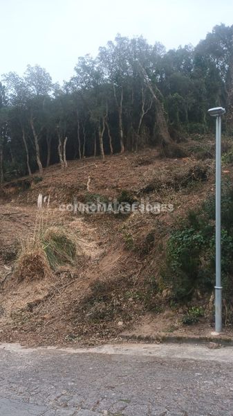 Foto 539e5019-1dfe-4455-b65e-de997434fd00. Terreny residencial a Serra Brava Lloret de Mar