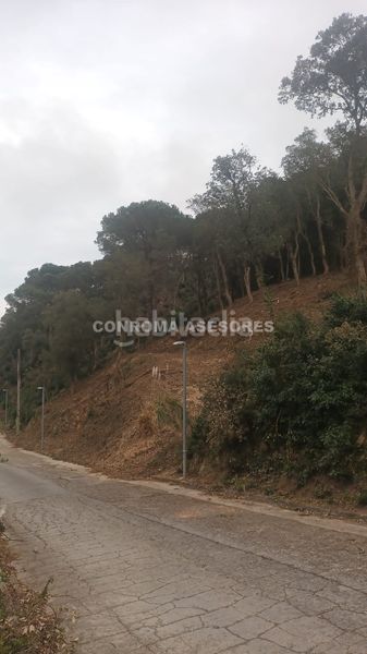 Foto 64e9aec2-2ecf-4ecc-8d16-87a3cff44aed. Terreny residencial a Serra Brava Lloret de Mar