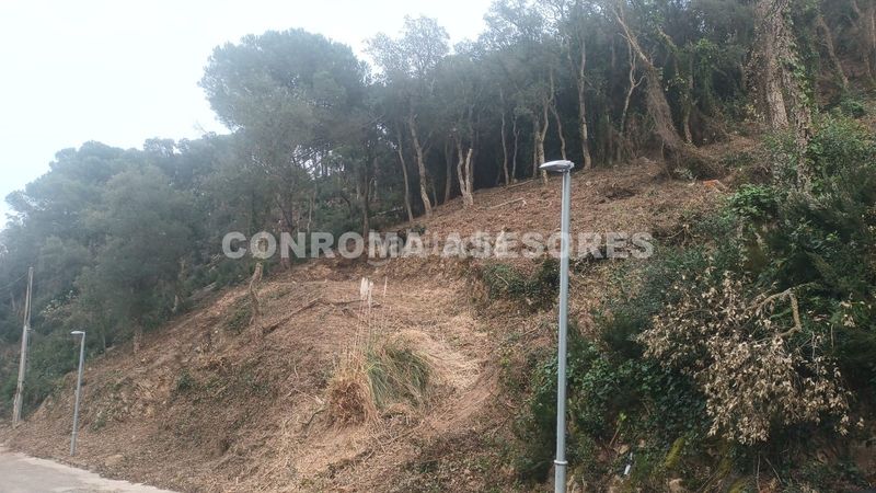 Foto 9bfec11f-ab37-4bdd-9b49-3d0bf8959603. Terreny residencial a Serra Brava Lloret de Mar