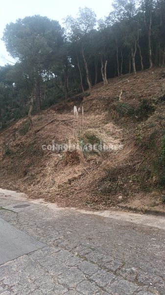 Foto c33ae130-3c92-484b-88ca-13a3c7219eb2. Terreny residencial a Serra Brava Lloret de Mar