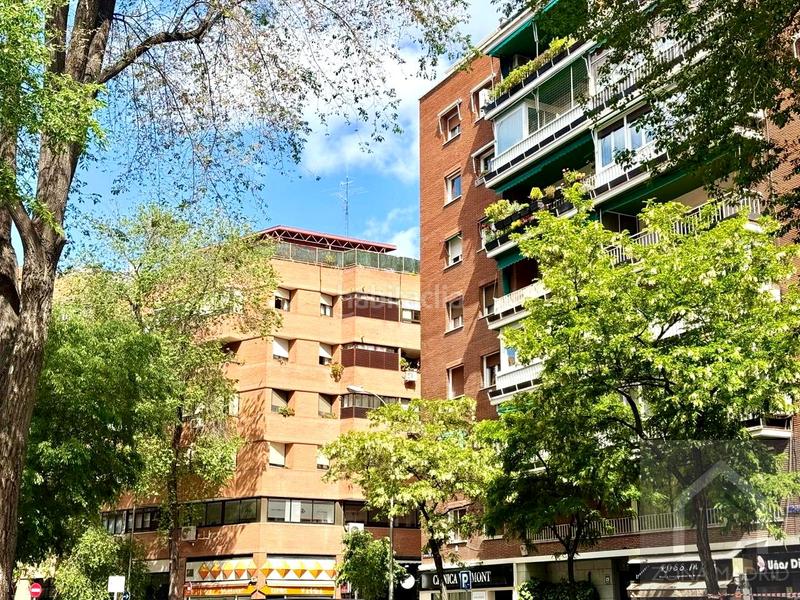 Foto d87c83be-8273-435f-a466-b641f8b441bd. Piso zona real estate, vende en exclusiva espectacular piso séptima planta muy luminoso en Madrid