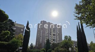 Rent Flat  Plaza del doctor laguna