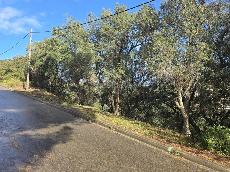 Foto 06c95d3e-cda0-42b3-a33e-dc4927e62903. Terrain résidentiel dans del garrofer 7 dans Mas Pere-Río de Oro Calonge