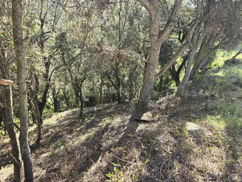 Foto 24be753a-428f-455d-9b50-f31ff1c0894c. Terrain résidentiel dans del garrofer 7 dans Mas Pere-Río de Oro Calonge