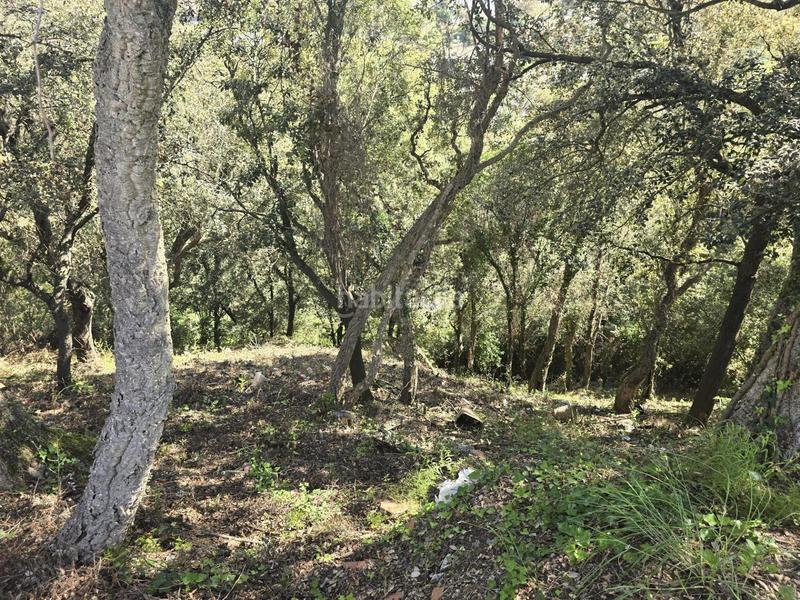 Foto 699cbf33-7264-4a88-8470-5246bb0925a5. Terrain résidentiel dans del garrofer 7 dans Mas Pere-Río de Oro Calonge