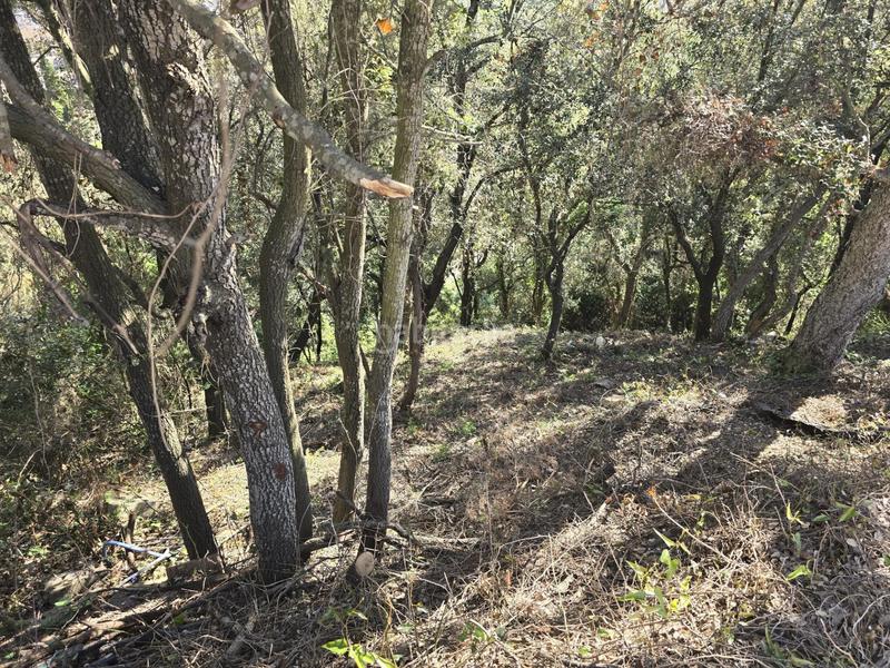 Foto 6a901447-3782-411a-8cfd-5106556264c1. Terrain résidentiel dans del garrofer 7 dans Mas Pere-Río de Oro Calonge