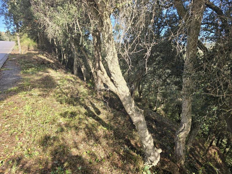 Foto b2de9221-d164-4595-b2e3-748ba9216c22. Terrain résidentiel dans del garrofer 7 dans Mas Pere-Río de Oro Calonge