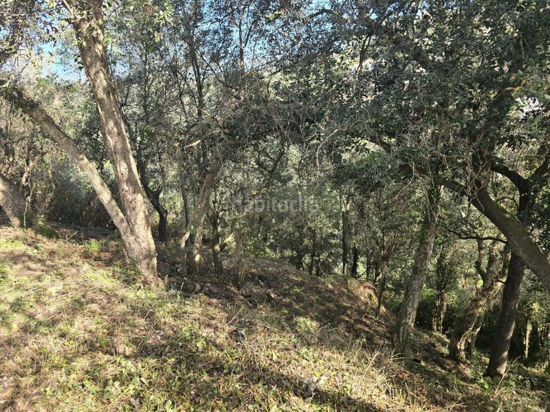 Foto dd6df969-58a4-490f-a8e9-a4a55632ca1c. Terrain résidentiel dans del garrofer 7 dans Mas Pere-Río de Oro Calonge