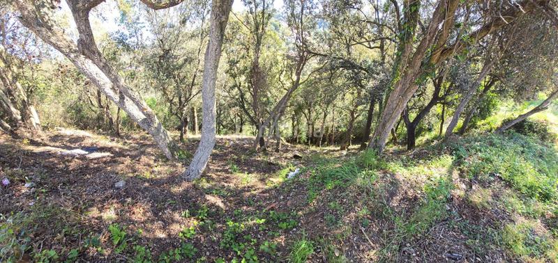 Foto e1e0d3e2-a8f7-4834-abf4-4809b3fb7da5. Terrain résidentiel dans del garrofer 7 dans Mas Pere-Río de Oro Calonge